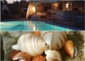 Ostraco Suites Mykonos Greece