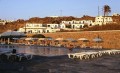 Myconos Beach hotel