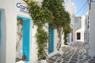 Caprice Bar Mykonos - Caprice of Mykonos