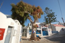 MYKONOS TOWN LIMNI