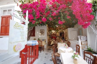 Lotus Tavern restaurant bar Mykonos