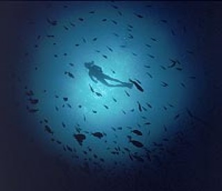 Mykonos Scuba Diving