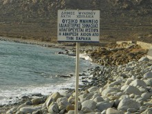 Choulakia Beach Mykonos